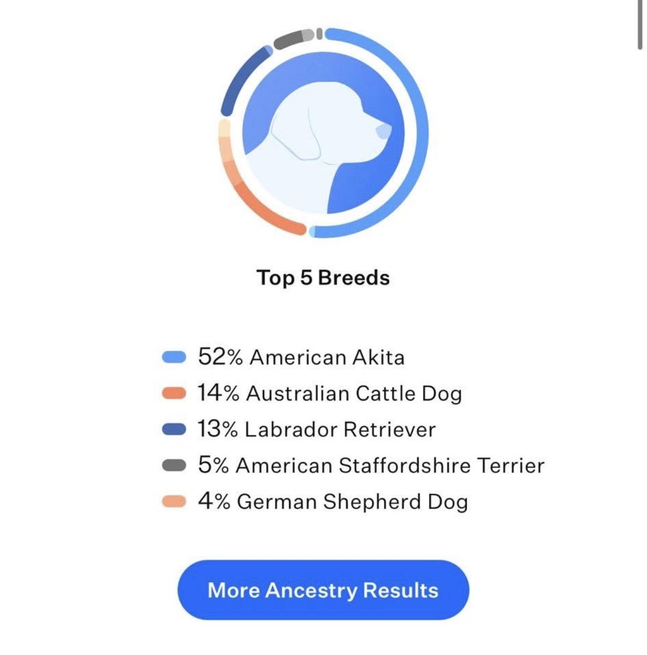 Hank 0225 — thumbnail 3