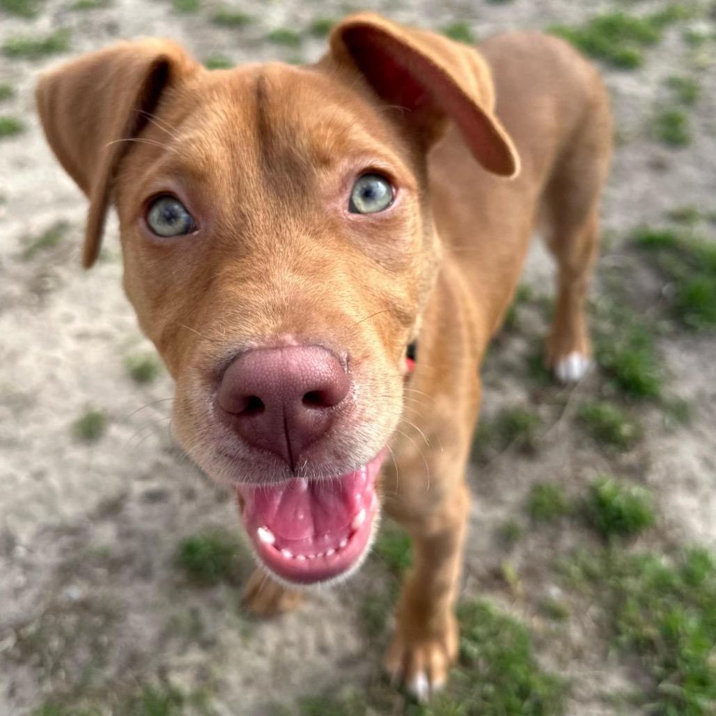 Lucas — thumbnail 2