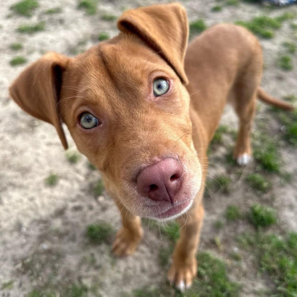 Lucas — thumbnail 3