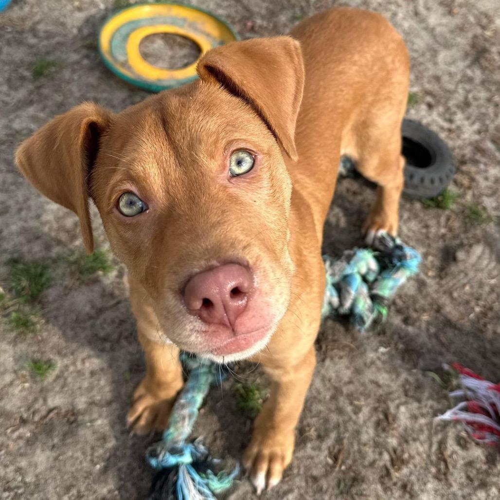 Lucas — thumbnail 4