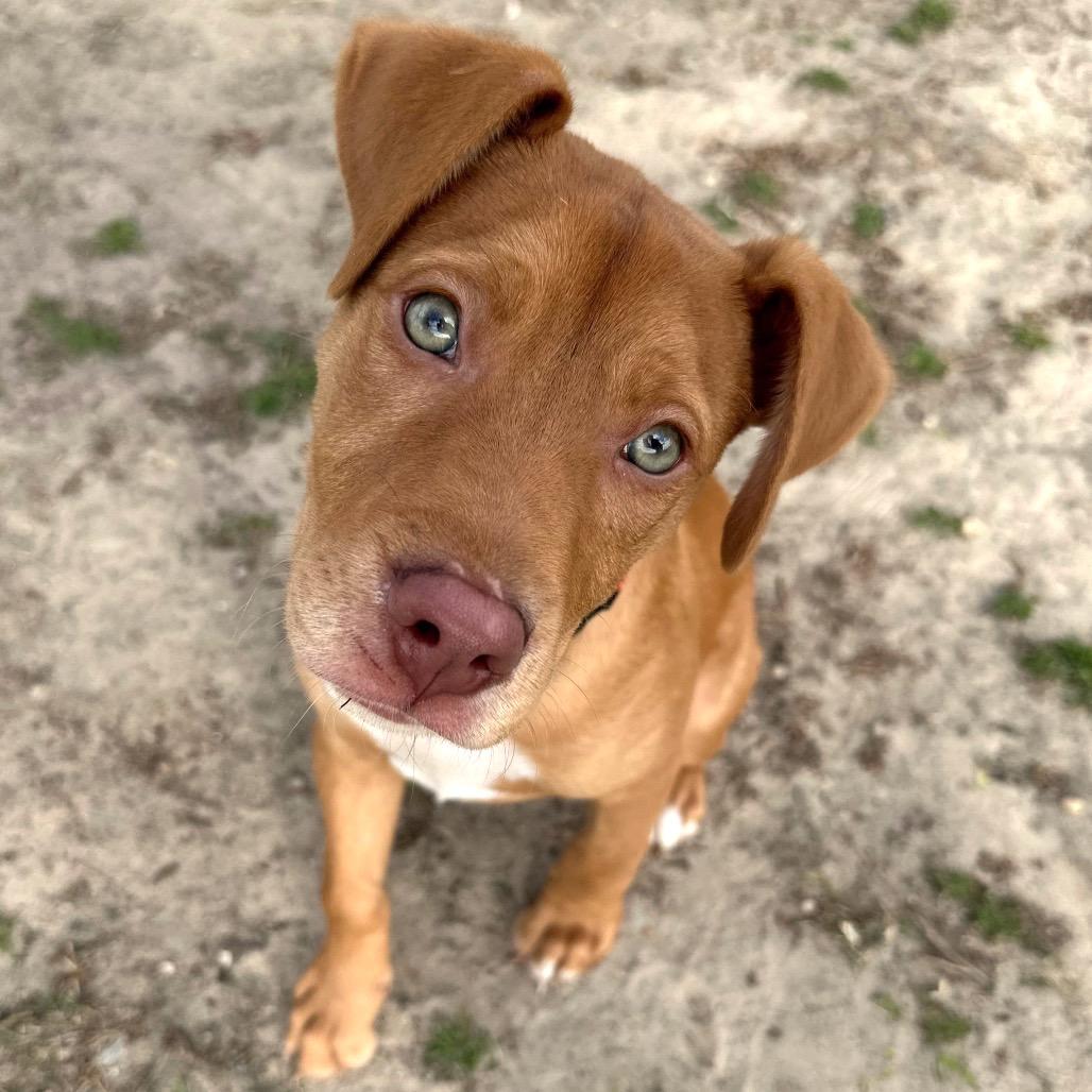 Lucas — thumbnail 5