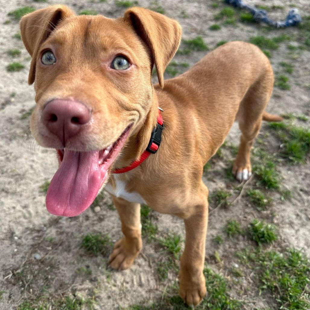 Lucas — thumbnail 6