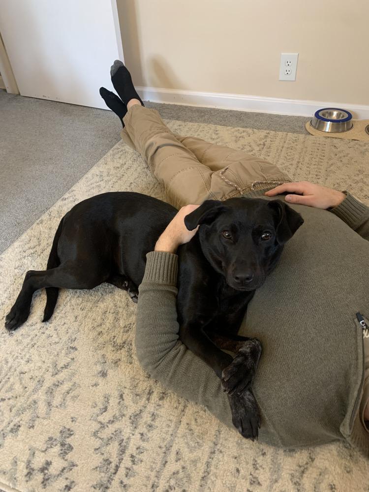 Lilly Ann thumbnail 2