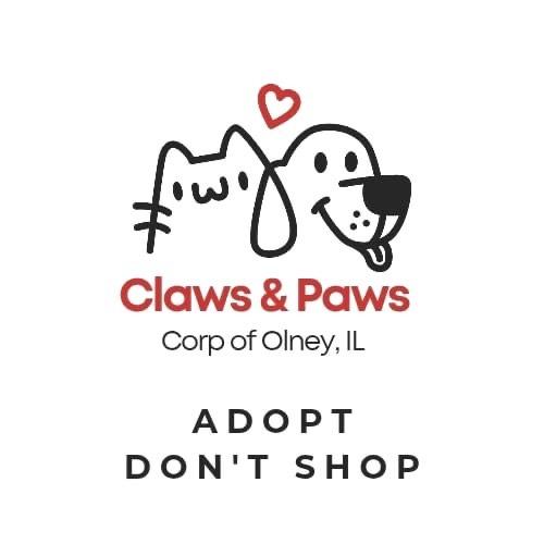 Enlarge Lorreta Lynn, a Adoptable mixed breed in Olney, IL image 2/2