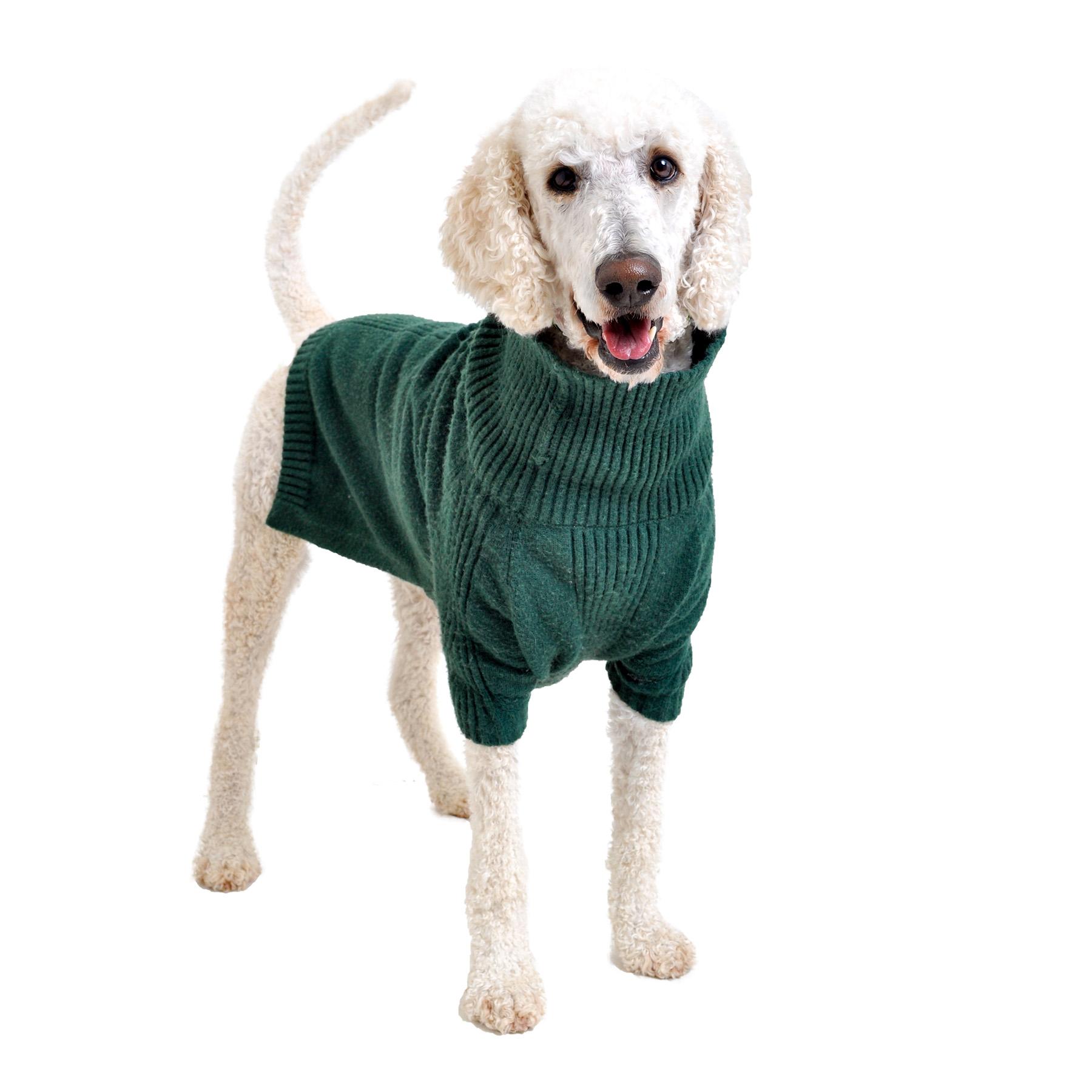 Enlarge Cashew, a Adoptable Standard Poodle in Friendsville, TN image 2/3