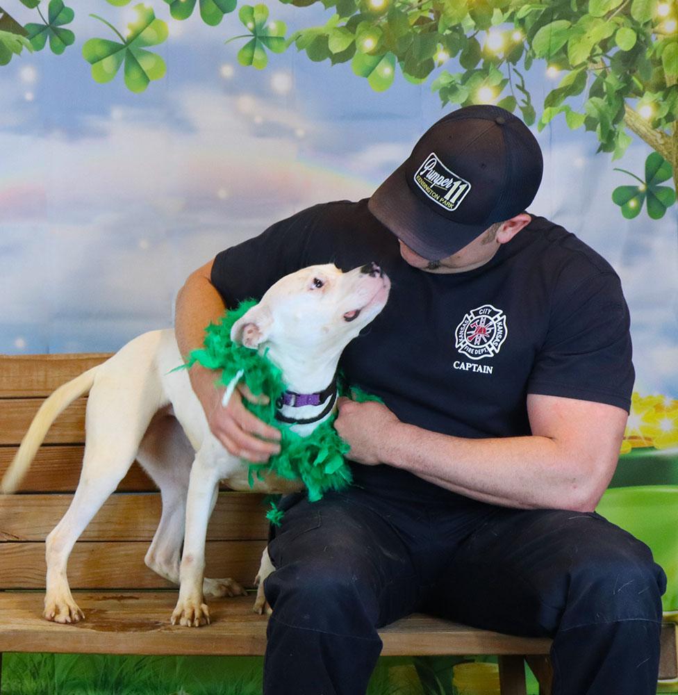 Enlarge Iris (AO35901), a ADOPTABLE mixed breed in Kansas City, KS image 2/6