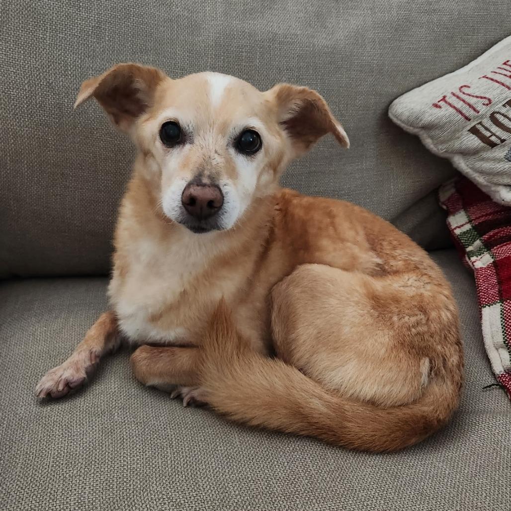 Roger Sterling — thumbnail 2