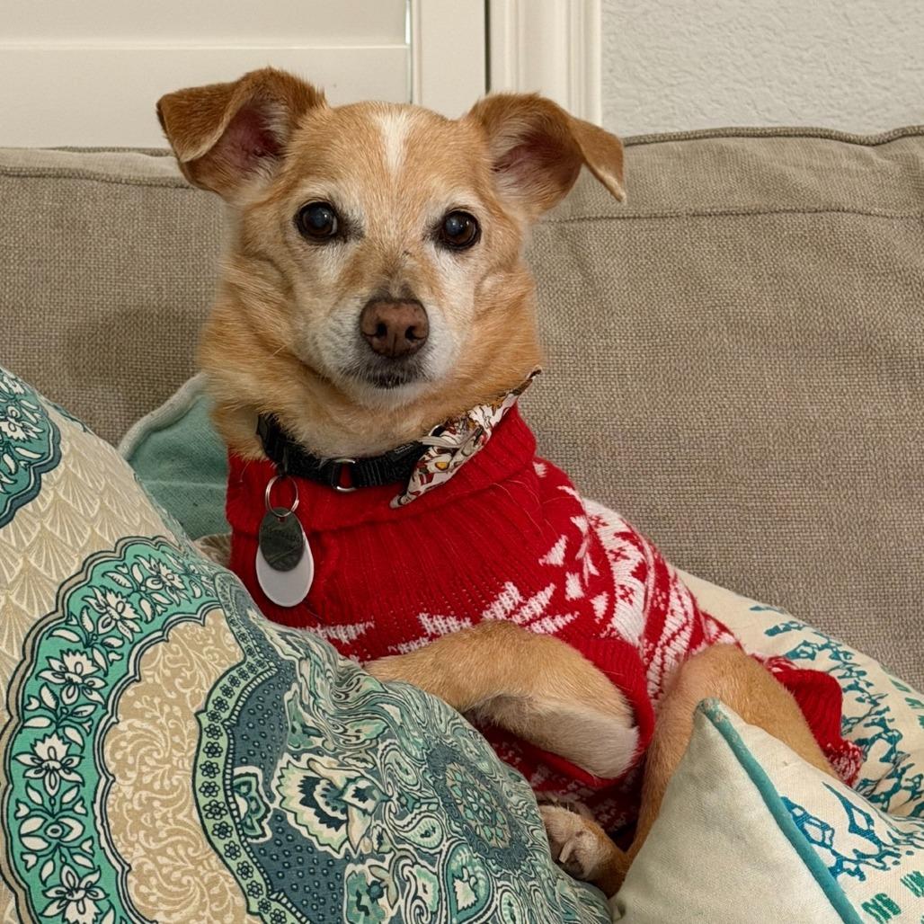 Roger Sterling — thumbnail 3