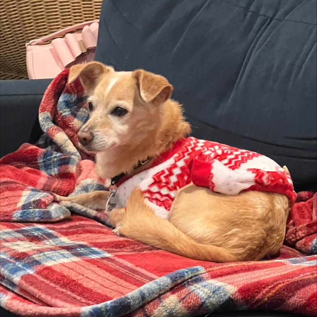 Roger Sterling — thumbnail 5