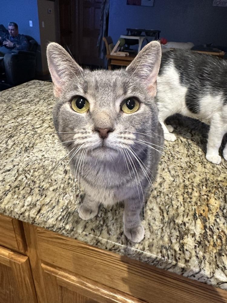 Gabby — thumbnail 2