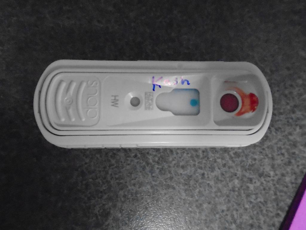 Enlarge Hershey/Kash, a Adoptable mixed breed in Hopkinsville, KY image 1/6