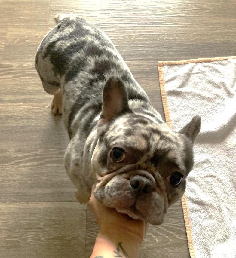 Rifle AVAILABLE MIDWEEK