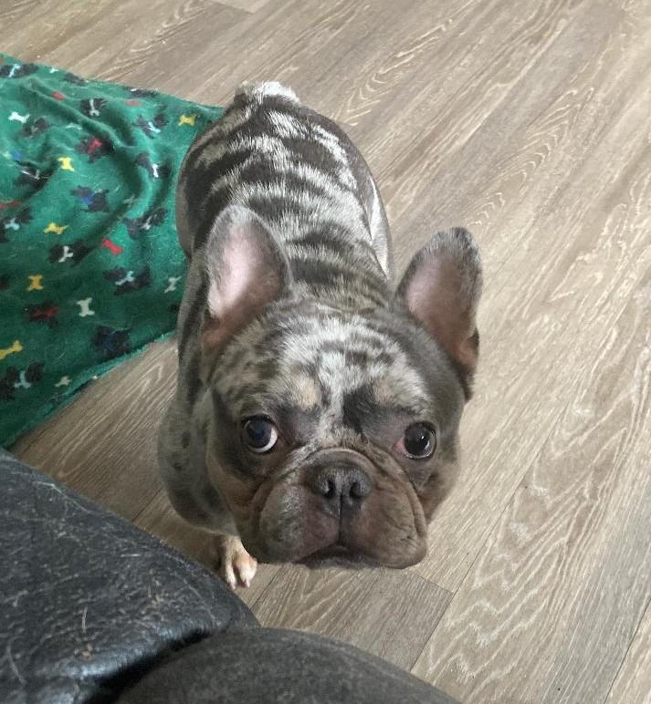 Rifle AVAILABLE MIDWEEK