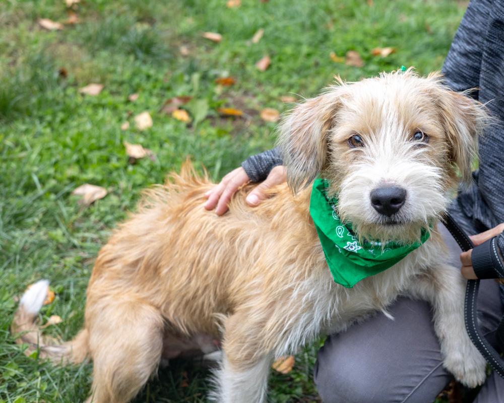 Dannyavail thumbnail 3