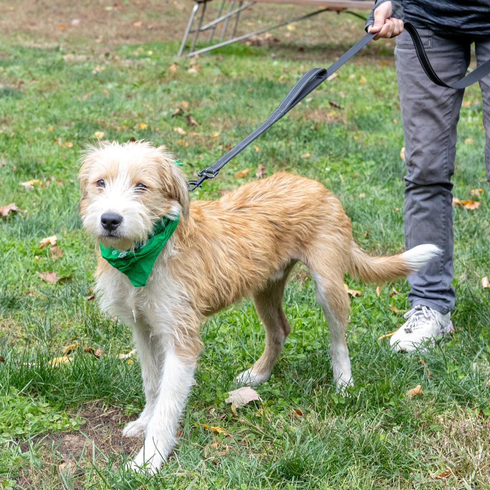 Dannyavail thumbnail 4