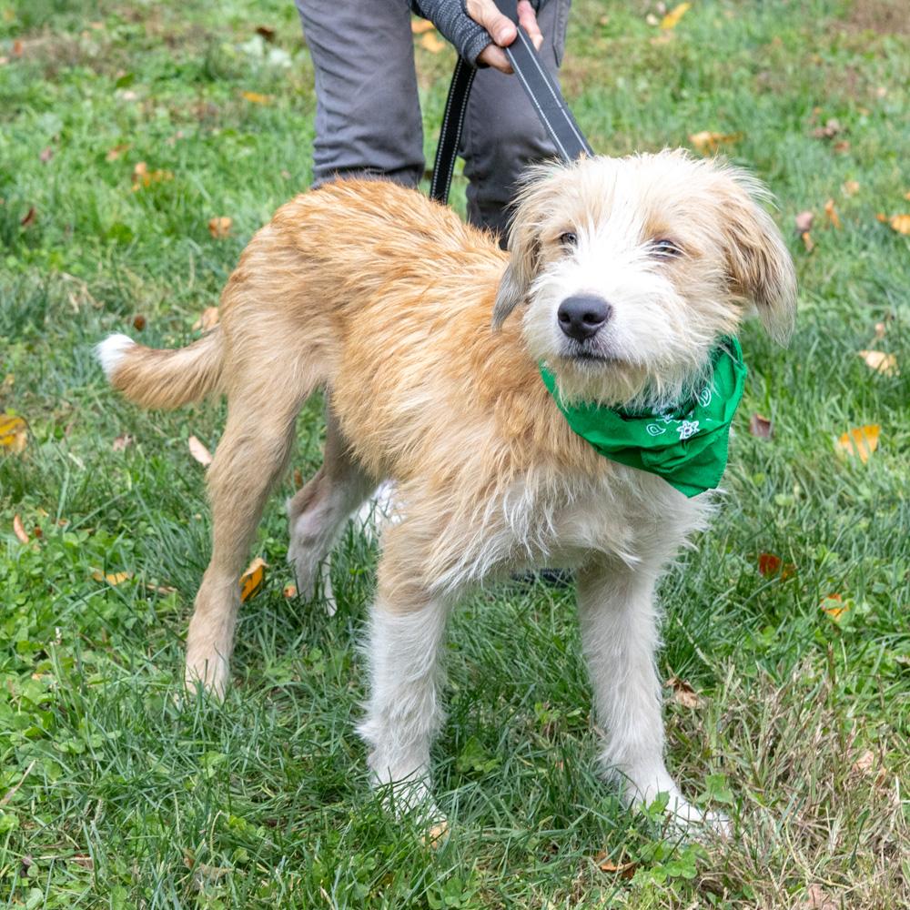 Dannyavail thumbnail 2