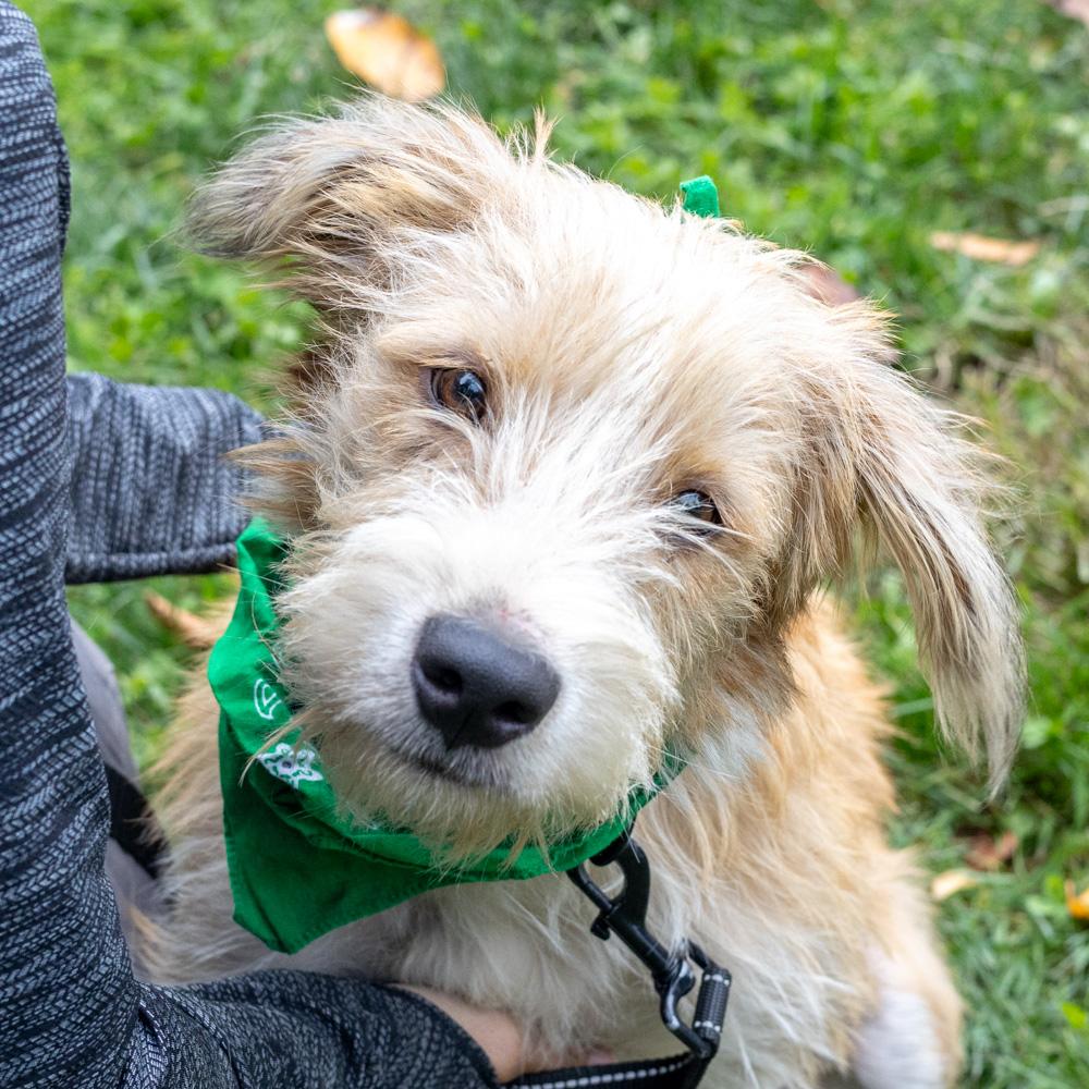 Dannyavail thumbnail 5