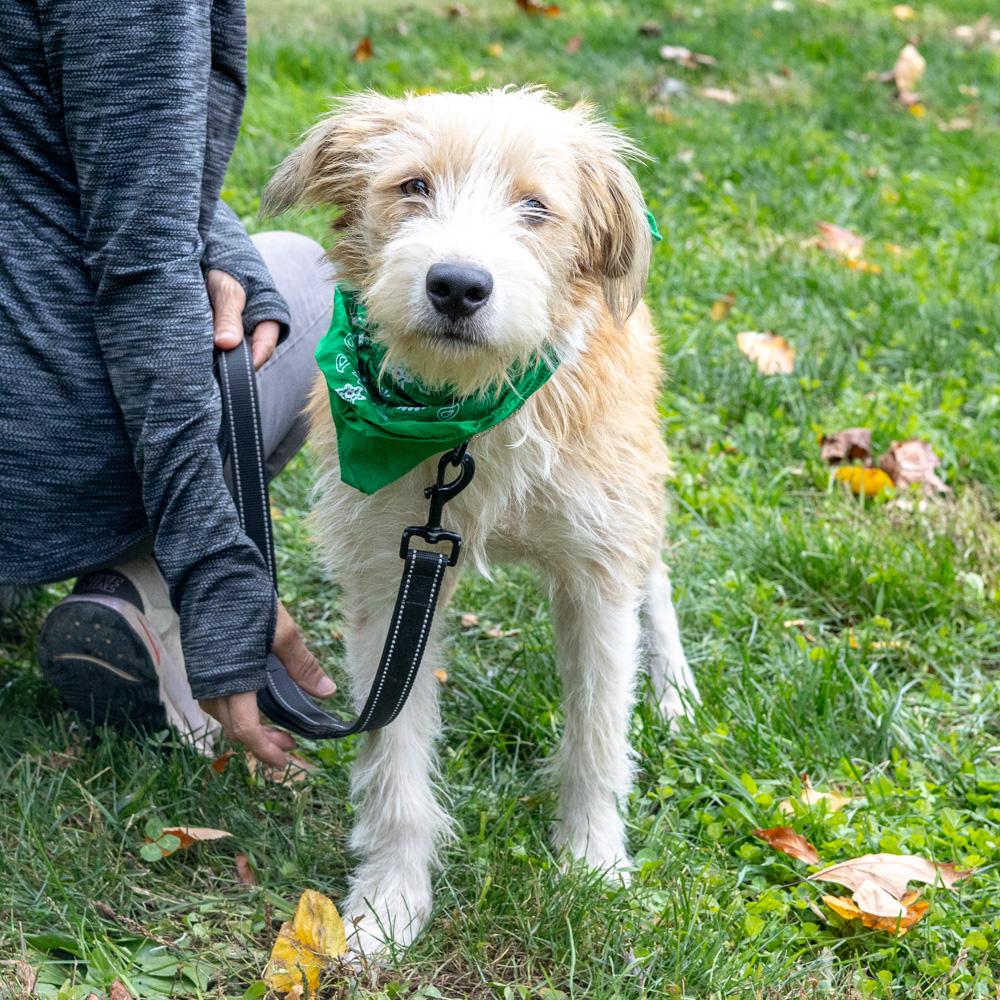 Dannyavail thumbnail 6