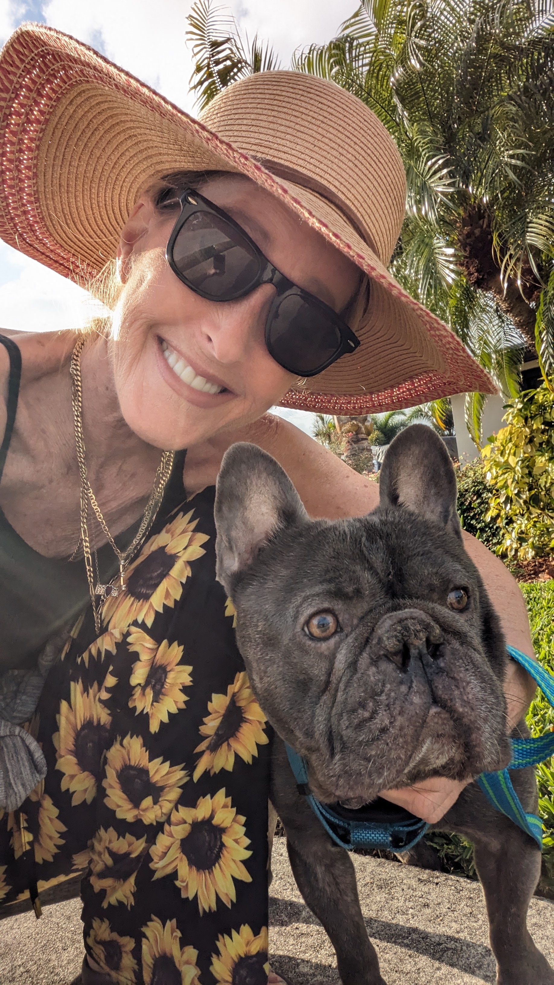 Enlarge Handsome Chance, a Adoptable French Bulldog in Fort Lauderdale, FL image 5/5