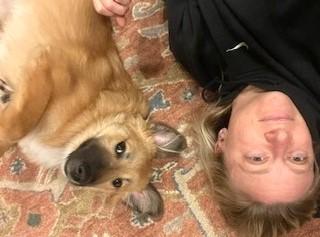 Elsa, adopted, Young Female German Shepherd Dog.