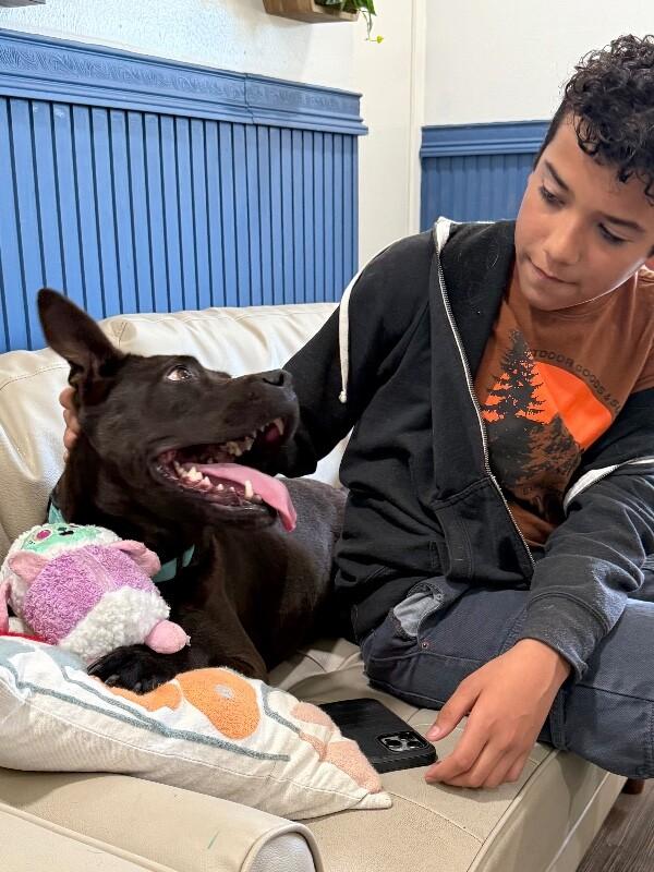 Leela Lou Lovey the Social Butterfly — thumbnail 2