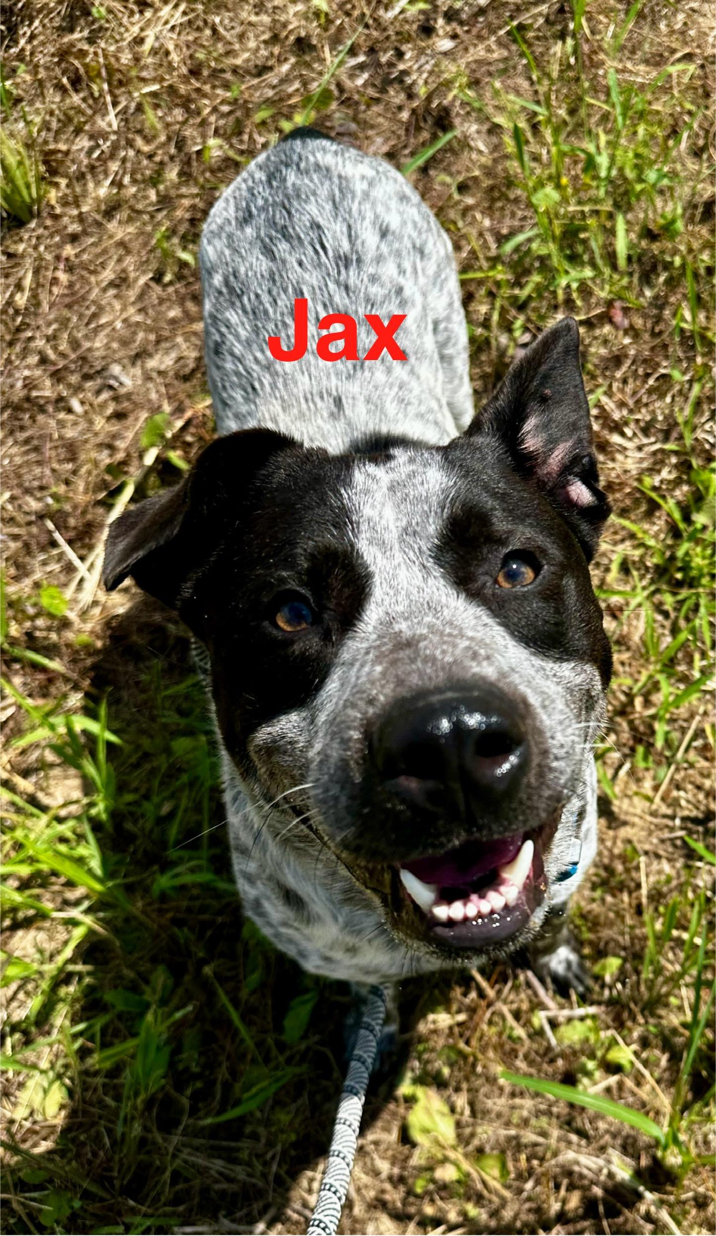 Jax