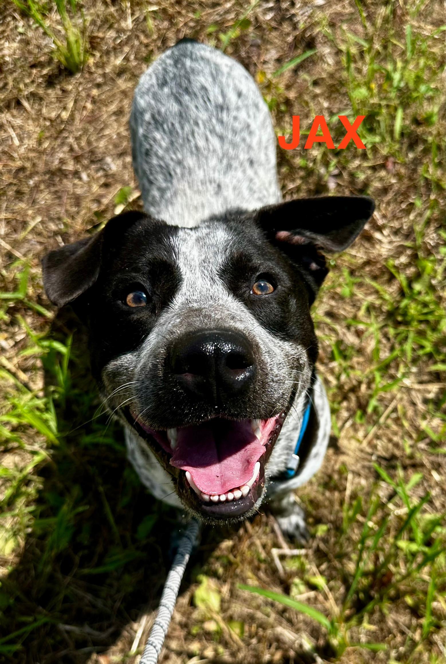 Jax