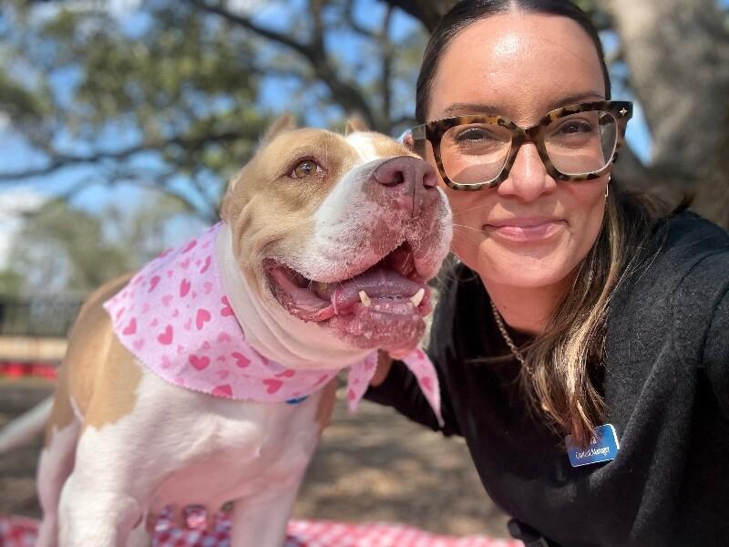 Lovely London Queen of Naps and Belly-Rubs — thumbnail 2