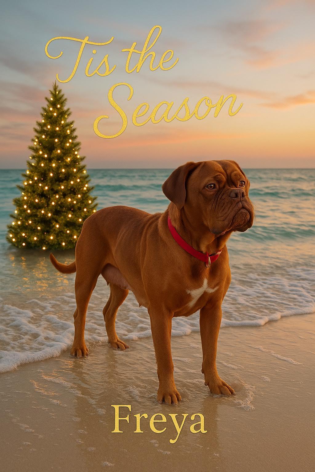 Freya, a ADOPTABLE Dogue de Bordeaux in Las Vegas, NV image 2/3