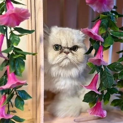 Margot Marvelous — thumbnail 4