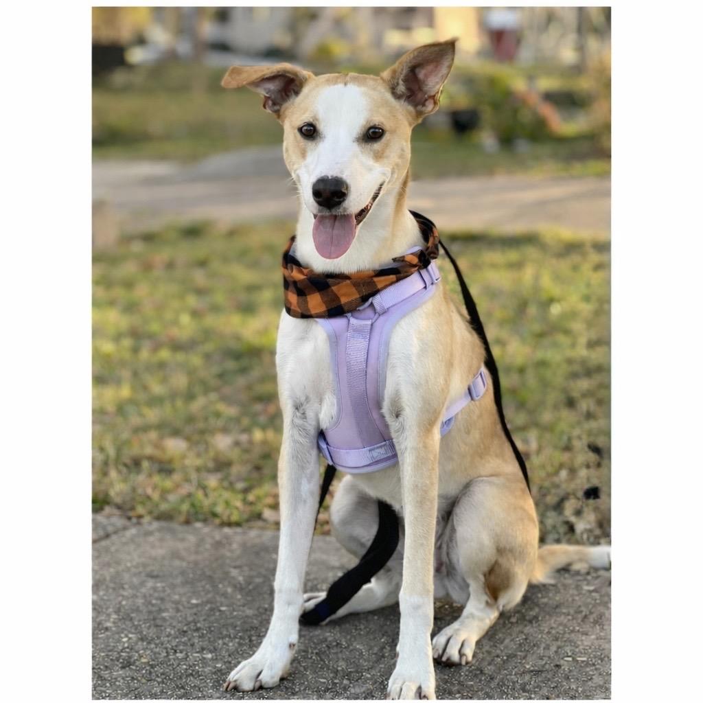 Doralee — thumbnail 2