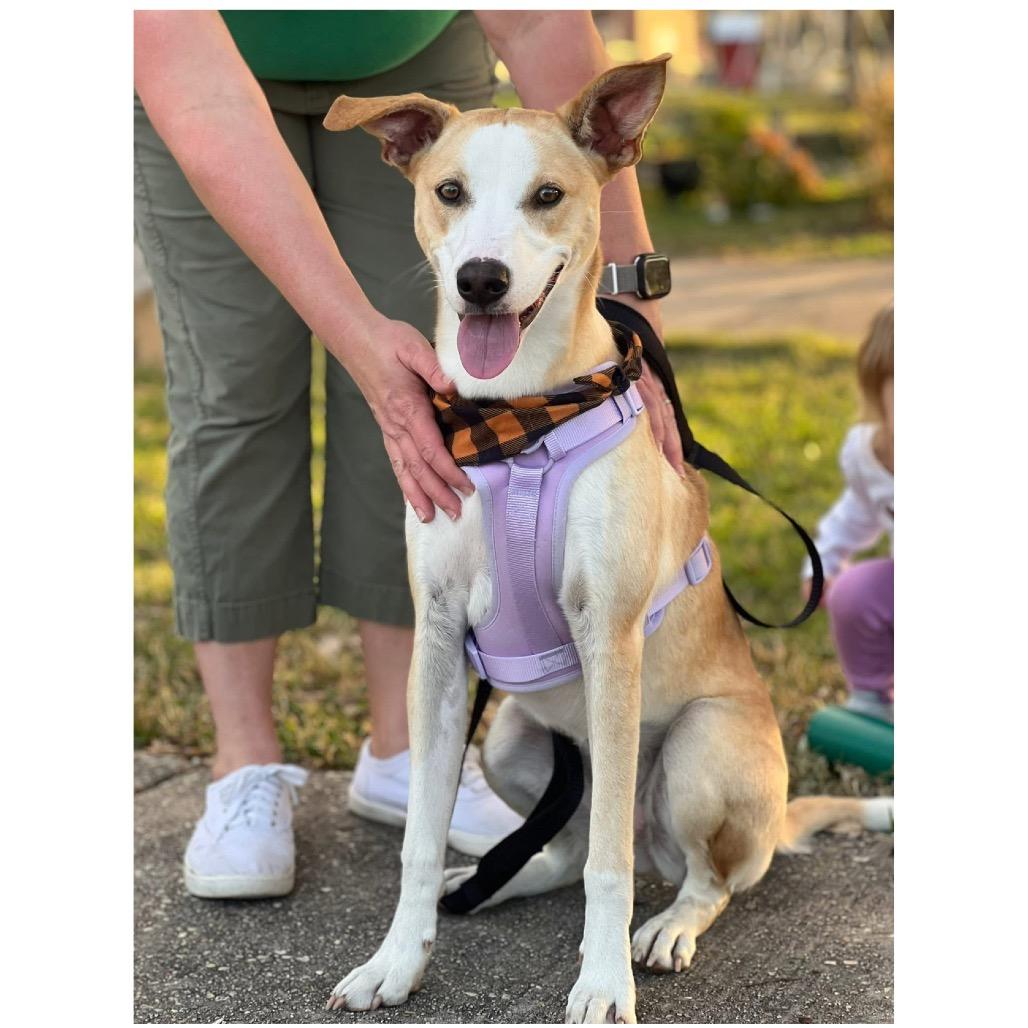 Doralee — thumbnail 3