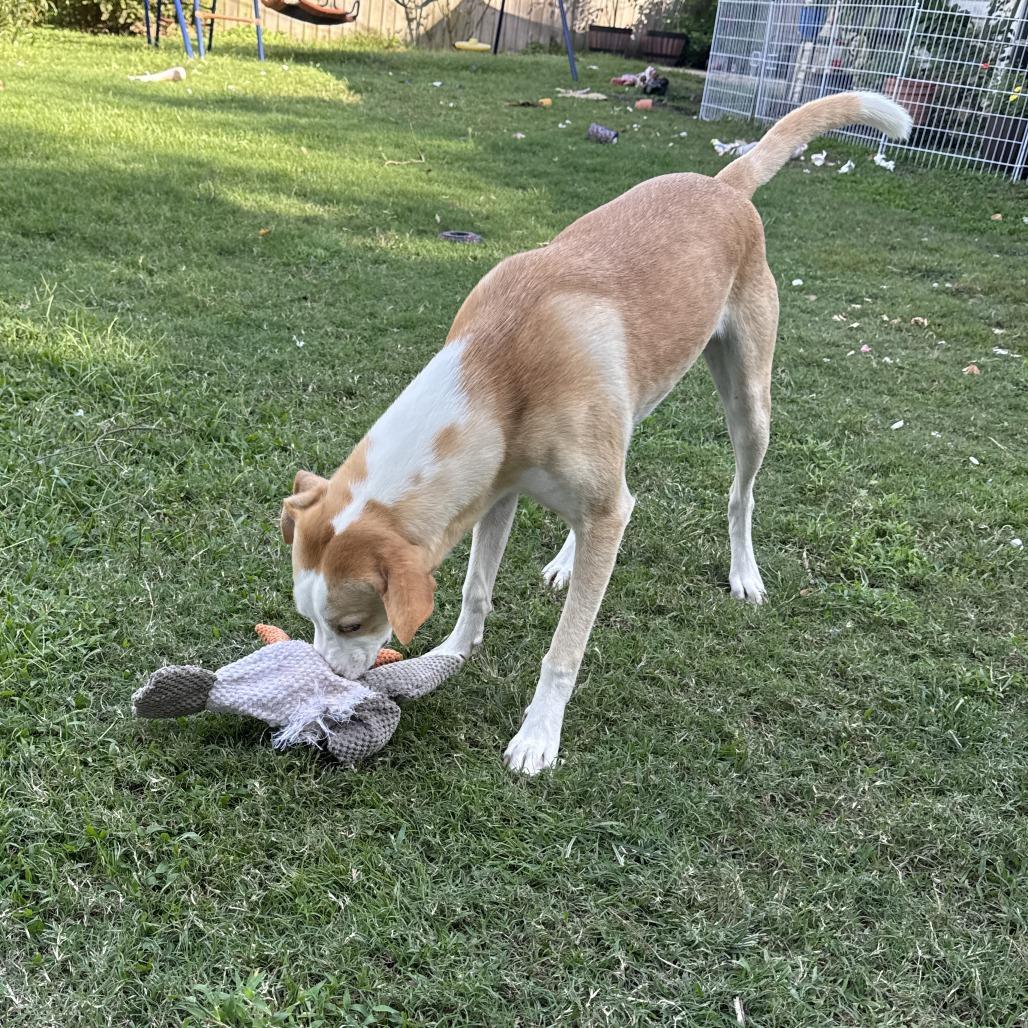 Doralee — thumbnail 4