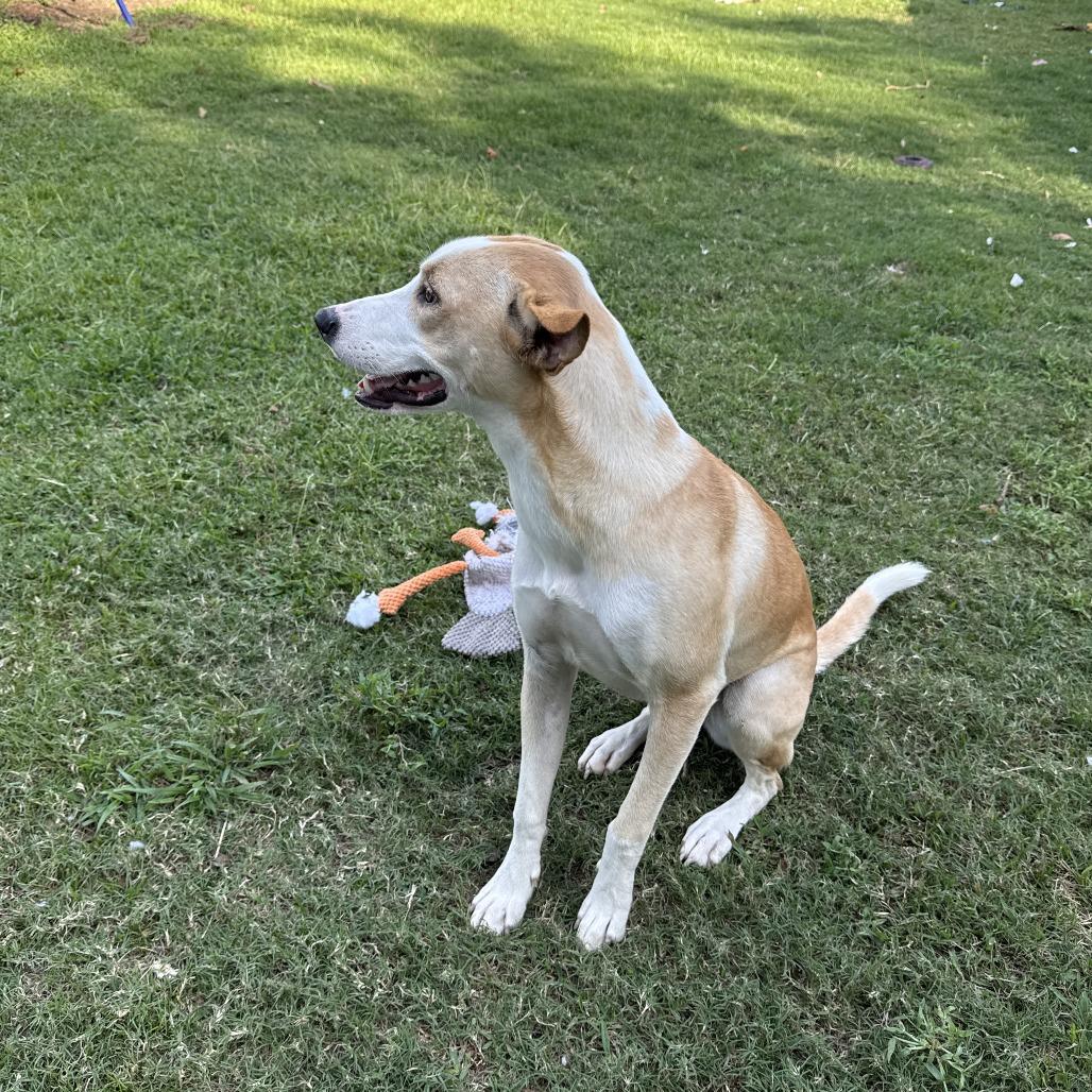 Doralee — thumbnail 6