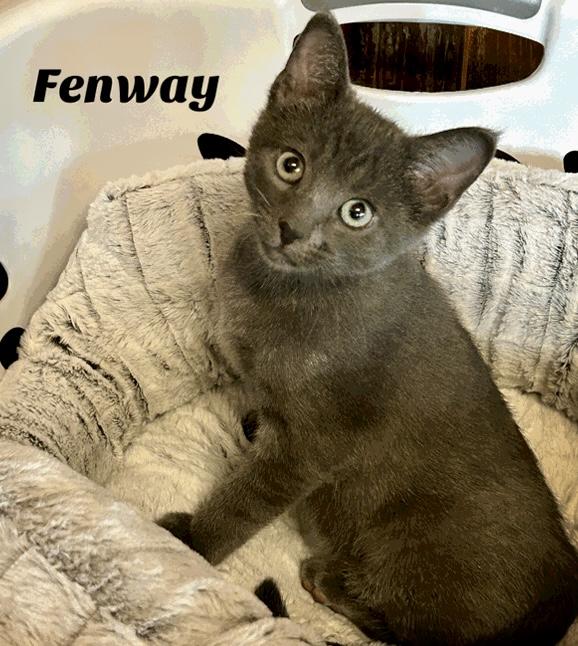 Fenway