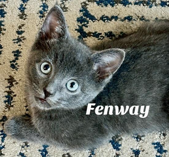 Fenway