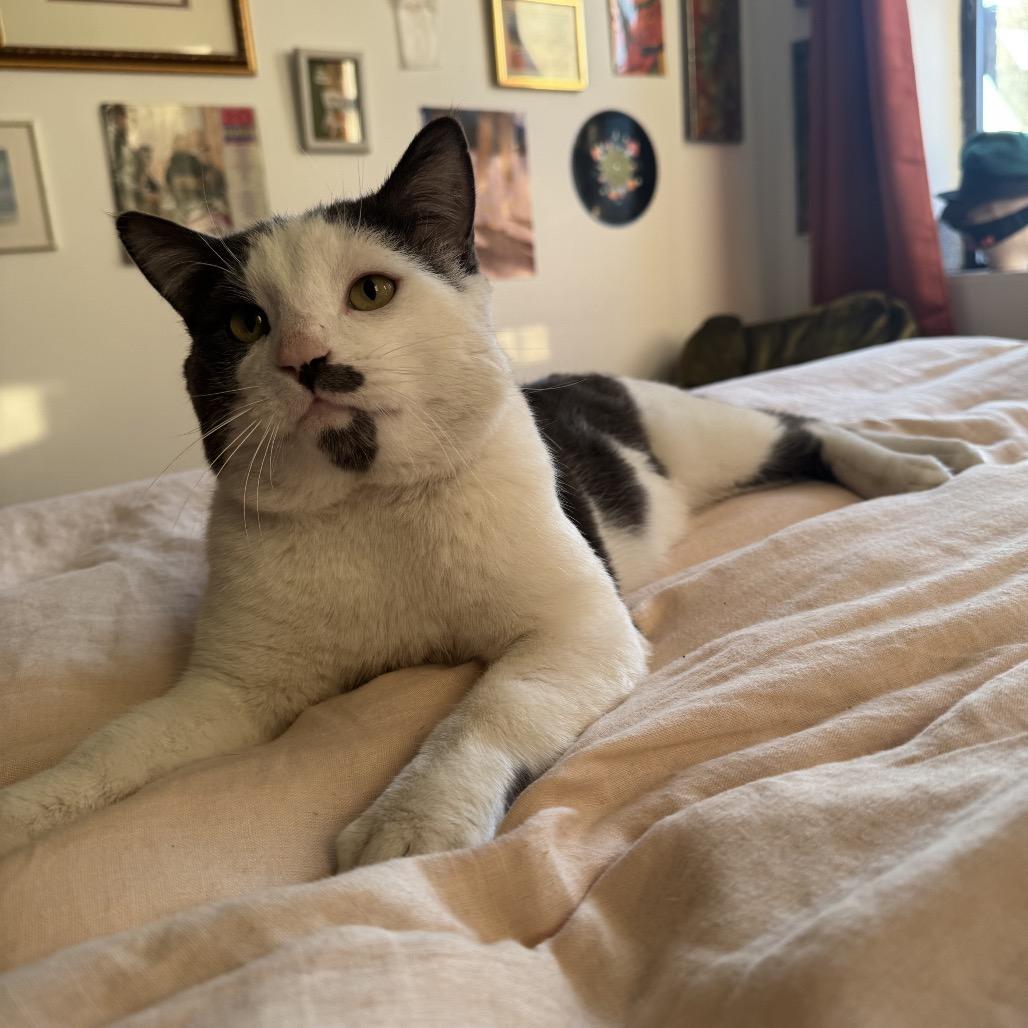 Mr Romantic — thumbnail 6