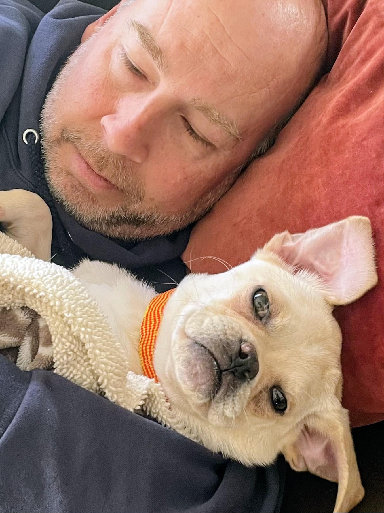 Reed - Fostered in Rhode Island, a Adoptable mixed breed in Willington, CT image 5/6