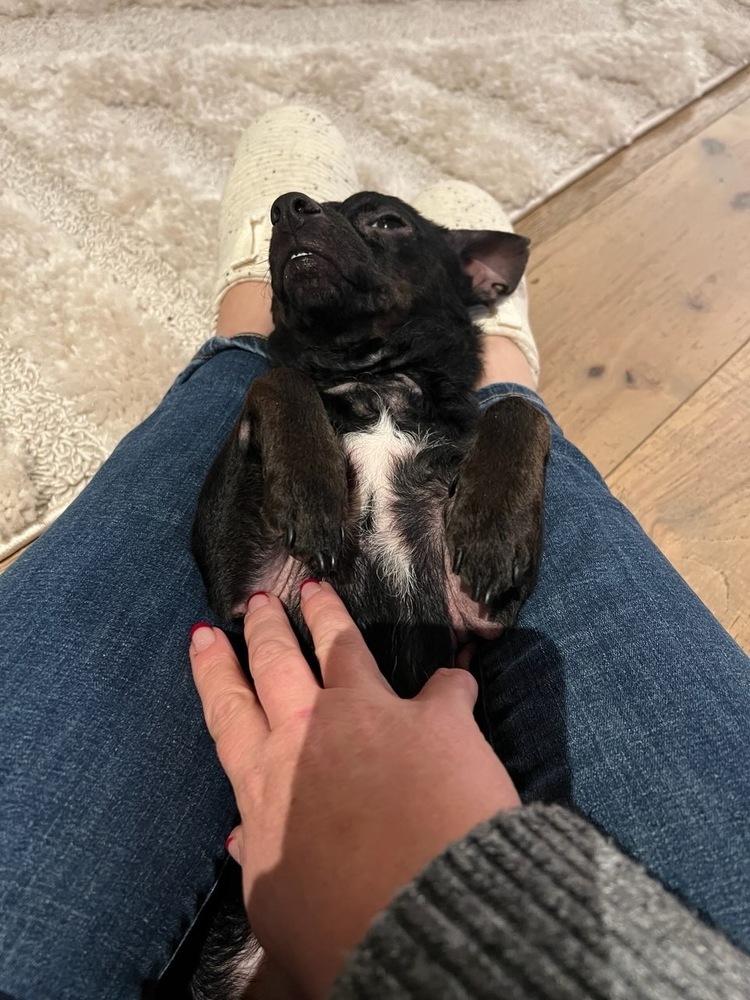 Phineas — thumbnail 6