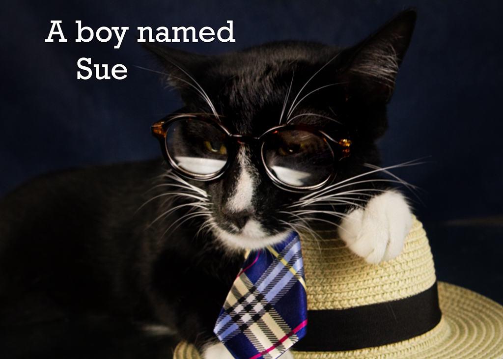 A Boy Named Sue