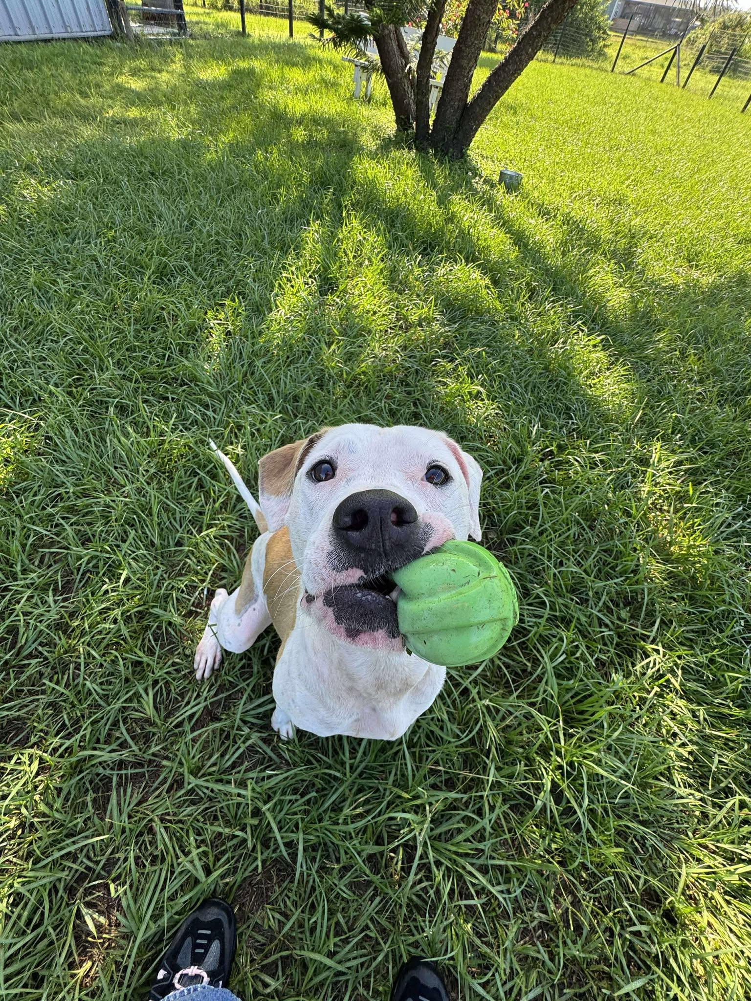 Abby