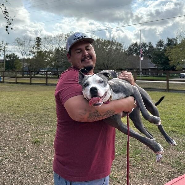 Daisy Adventure Pal — thumbnail 3