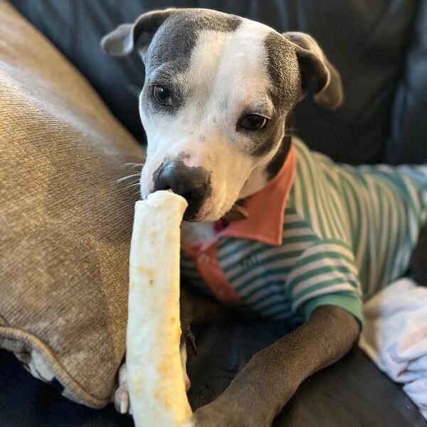 Daisy Adventure Pal — thumbnail 5