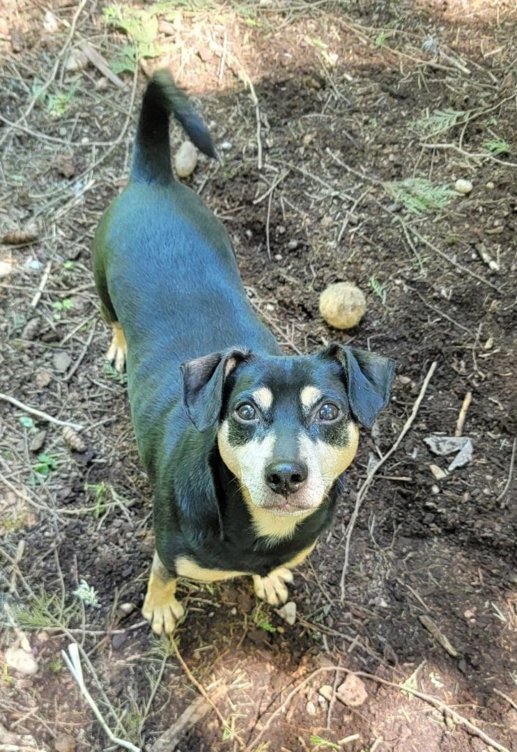 CHUCHO photo 4