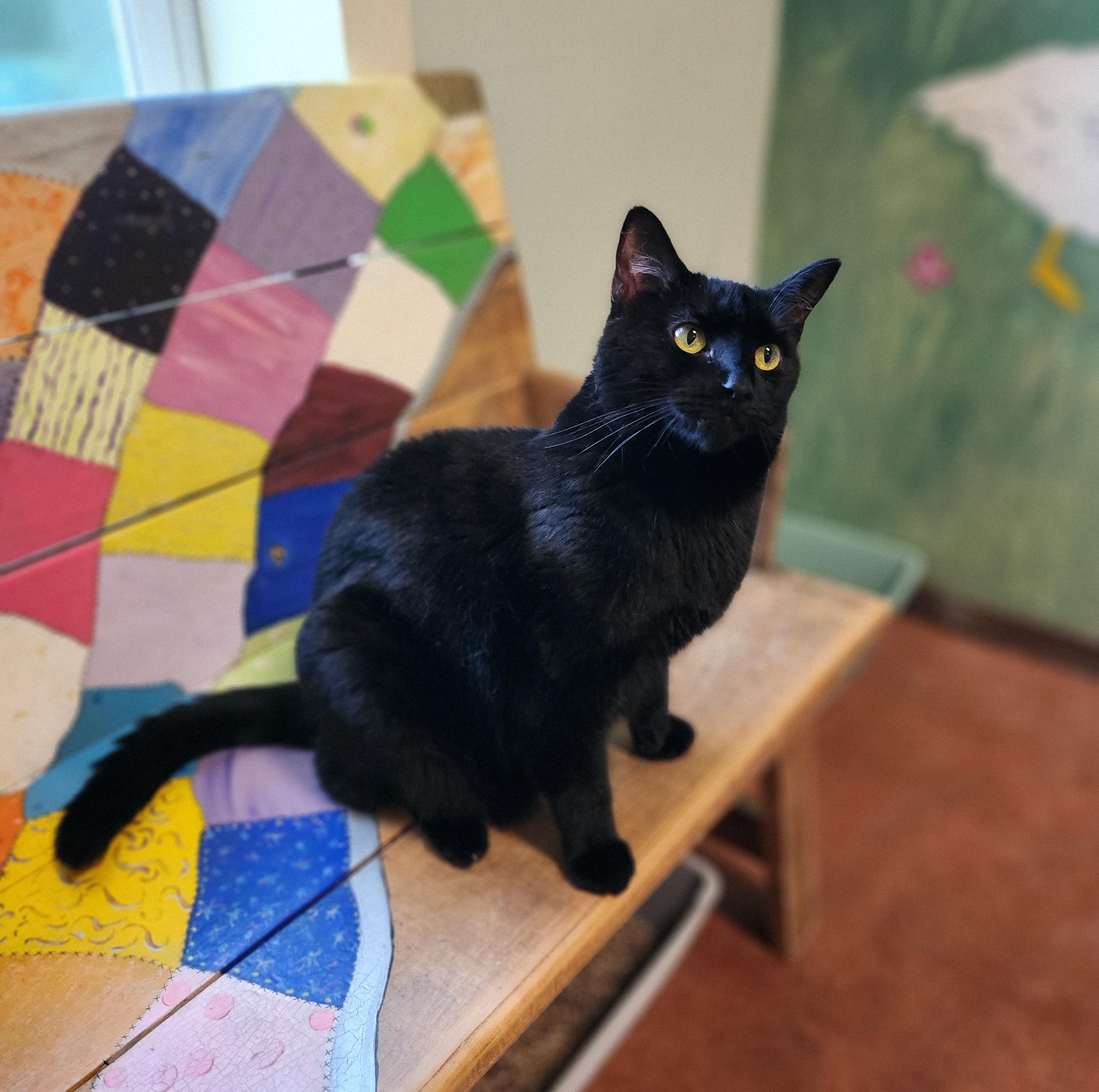 Binx