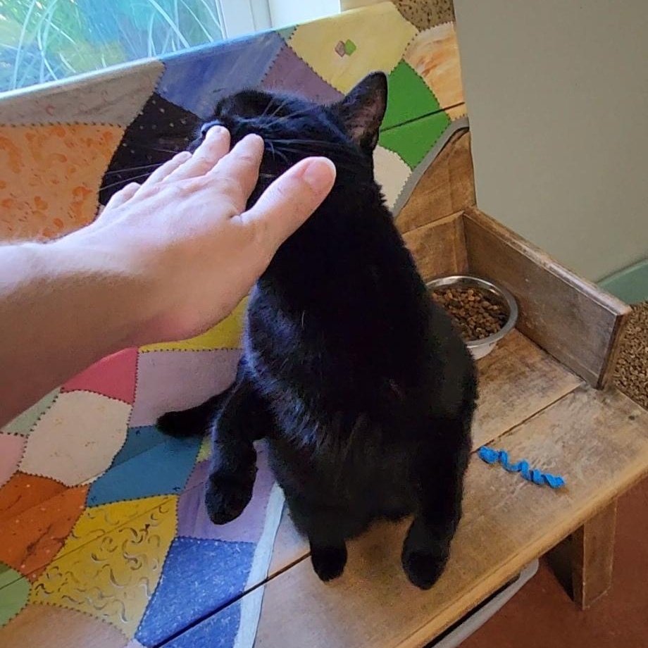 Binx