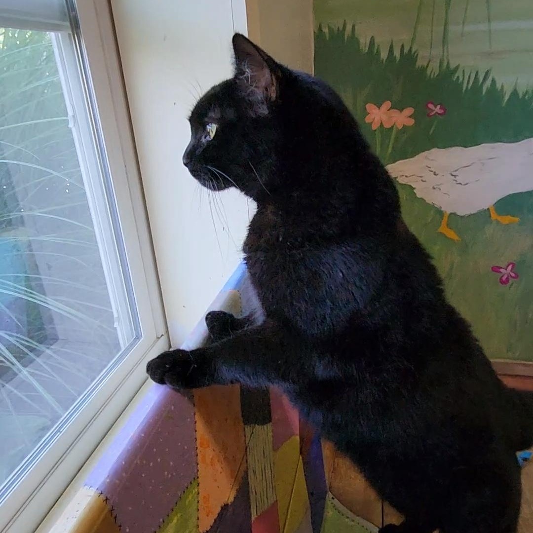 Binx
