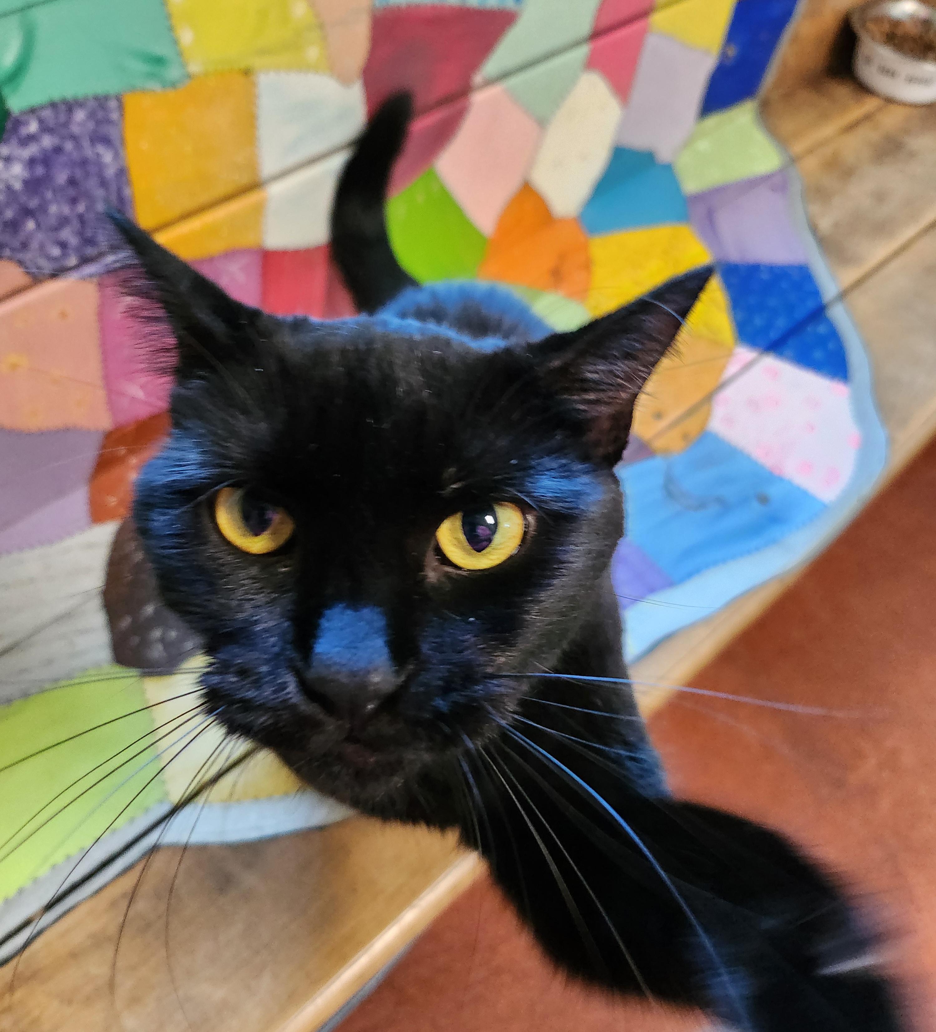 Binx