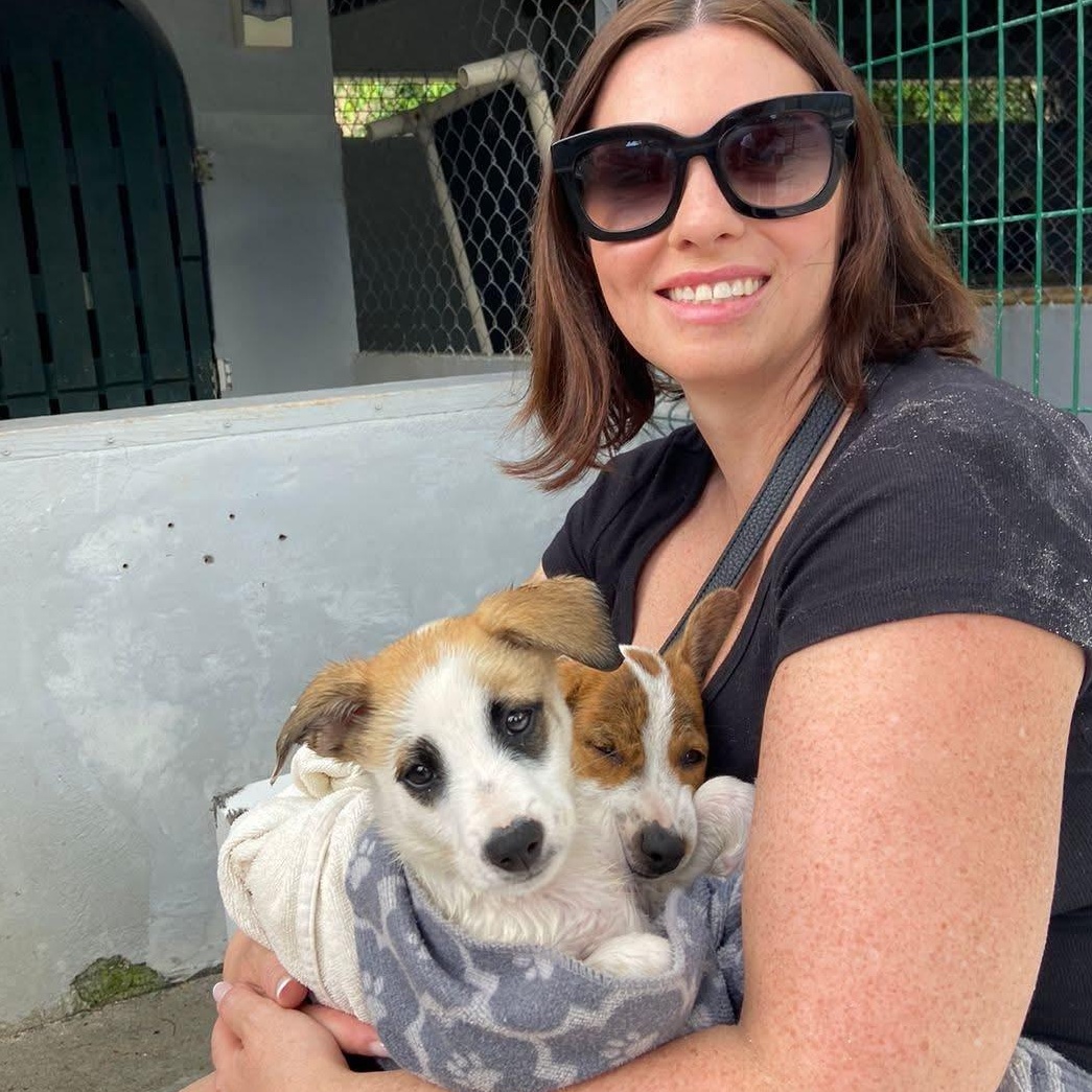 Enlarge Panda, a ADOPTABLE Mixed Breed in Thornhill, ON image 4/6