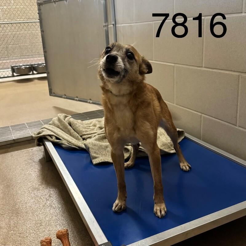 Vivi — thumbnail 2